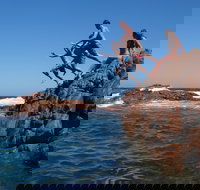 Hillocks Drive - New South Wales Tourism 