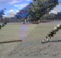 Inverell Golf Club - New South Wales Tourism 