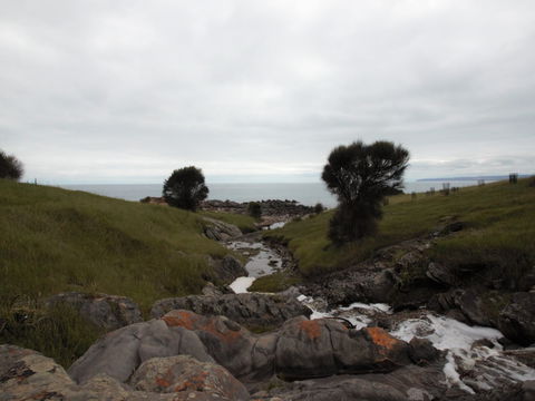Iron Stone Hill Hike - New South Wales Tourism  0