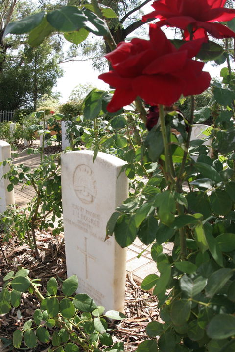 Japanese And Australian War Cemeteries - New South Wales Tourism  1