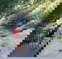 Josephine Falls walking track Wooroonooran National Park - New South Wales Tourism 