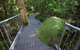 Josephine Falls Walking Track, Wooroonooran National Park - thumb 2