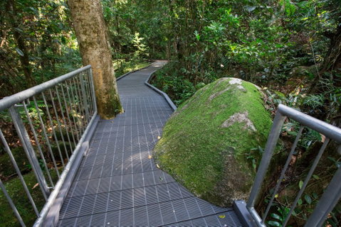 Josephine Falls Walking Track, Wooroonooran National Park - New South Wales Tourism  2