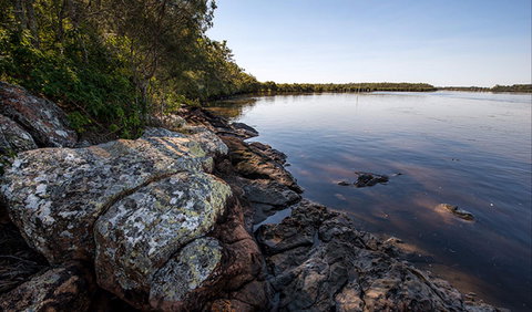 Karuah River National Park And Nature Reserve - New South Wales Tourism  2