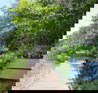 Kennedy Walking Track - New South Wales Tourism 