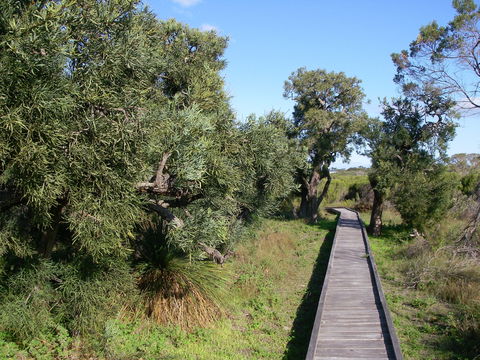Kepwari Trails Wetland Wonderland - New South Wales Tourism  0
