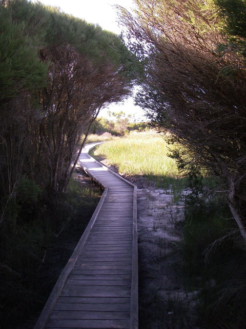 Kepwari Trails Wetland Wonderland - New South Wales Tourism  1