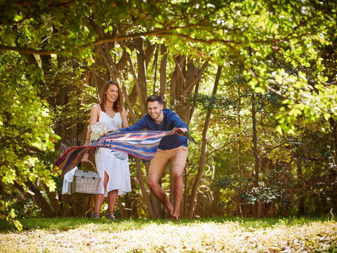 Kholo Gardens - New South Wales Tourism  0