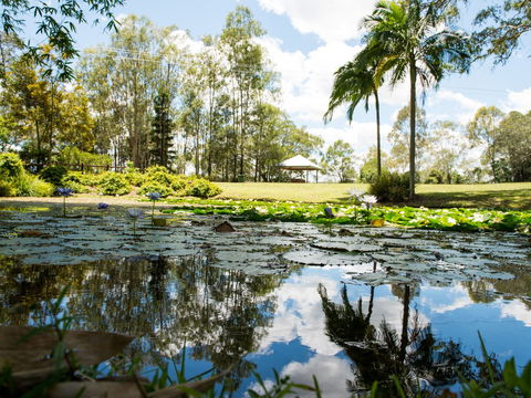 Kholo Gardens - New South Wales Tourism  1