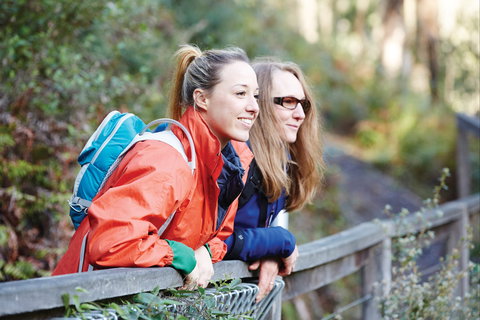 Kinglake National Park - New South Wales Tourism  2