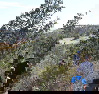 Kinchina Conservation Park - New South Wales Tourism 