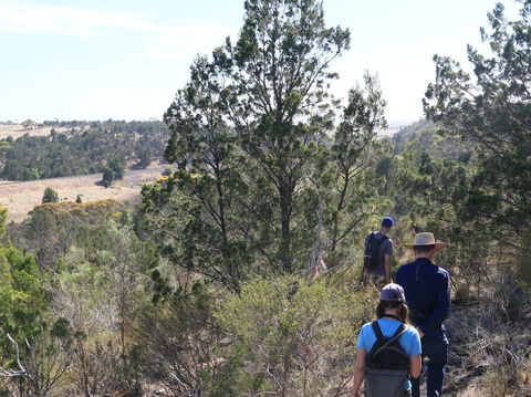 Kinchina Conservation Park - New South Wales Tourism  0