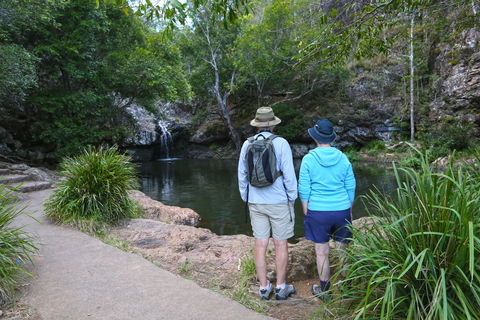 Kondalilla Falls Circuit, Kondalilla National Park - New South Wales Tourism  1