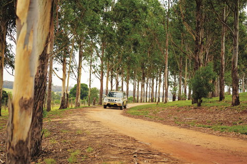 Kumbia - New South Wales Tourism  0