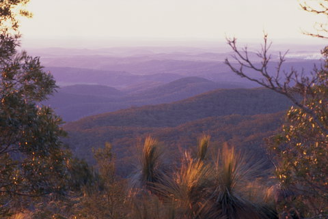 Kumbia - New South Wales Tourism  1
