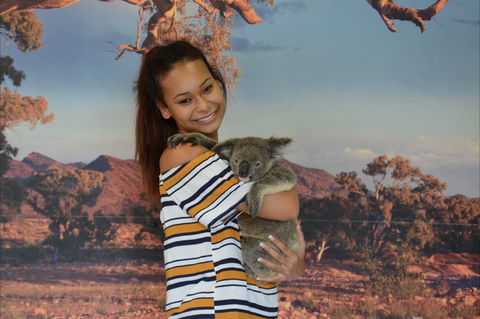 Kuranda Koala Gardens - New South Wales Tourism  0