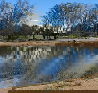 Lake King Wetlands at Rutherglen - New South Wales Tourism 