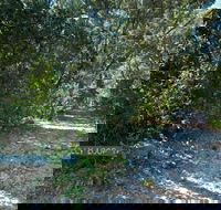 Lillypilly loop trail - New South Wales Tourism 