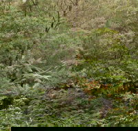 Lind National Park - New South Wales Tourism 