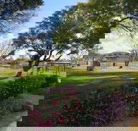 Lions Park - New South Wales Tourism 