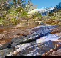 Little Dandahra Creek Walking Track - New South Wales Tourism 