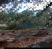 Long Lead Picnic Area and Campground - New South Wales Tourism 