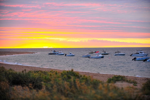 Mackerel Islands - New South Wales Tourism  1
