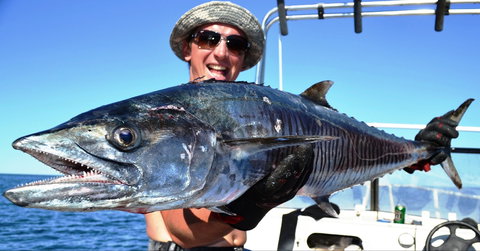 Mackerel Islands - New South Wales Tourism  2