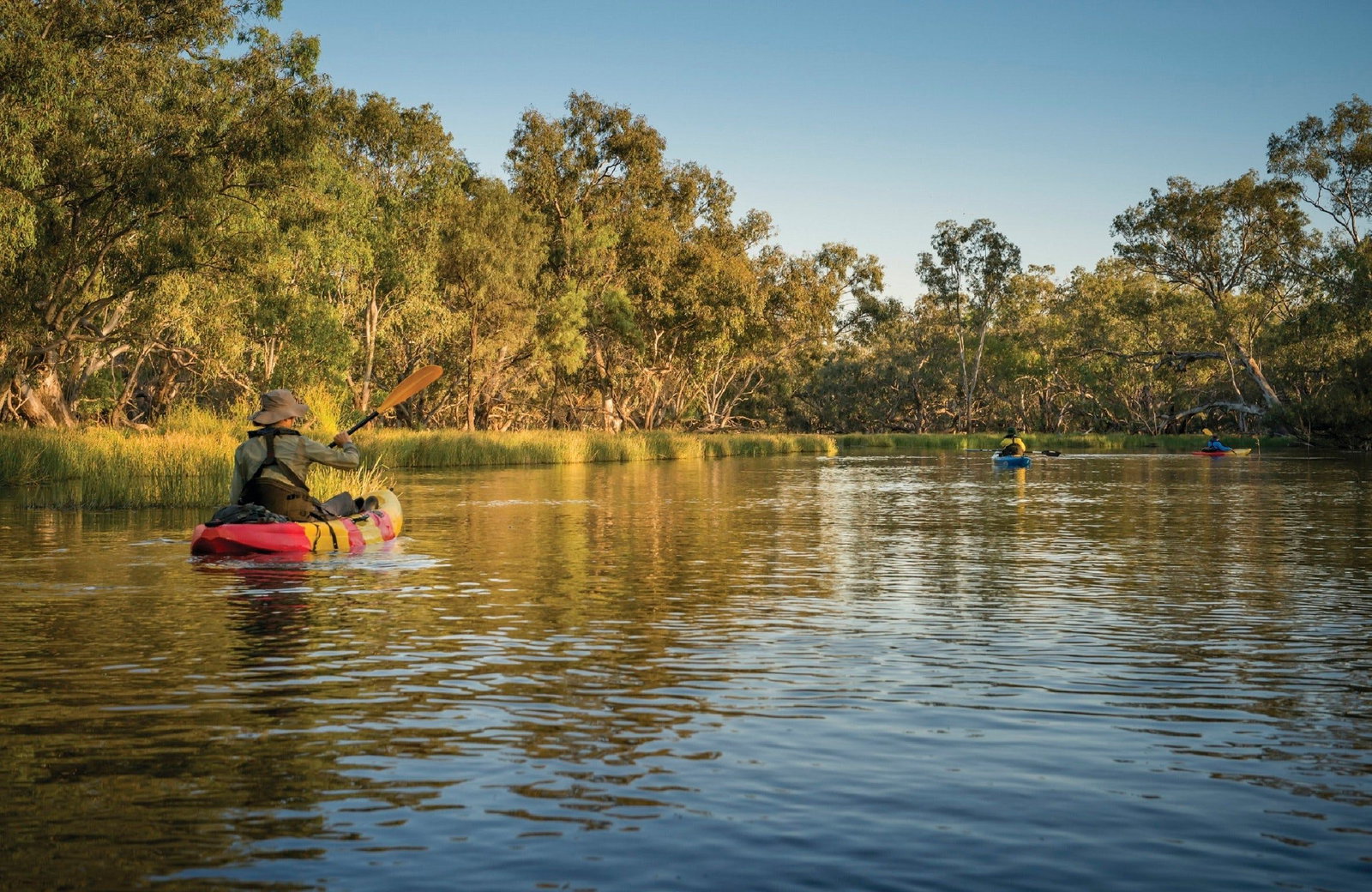 Macquarie Marshes NSW New South Wales Tourism 