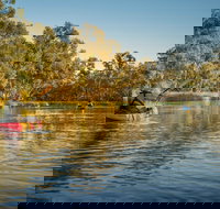 Macquarie Marshes Nature Reserve - New South Wales Tourism 