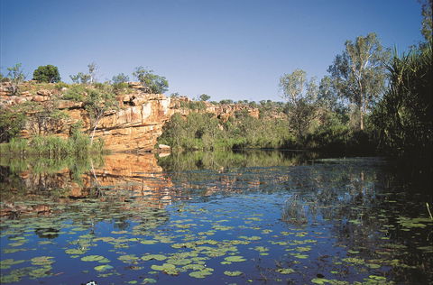 Manning Gorge - New South Wales Tourism  0