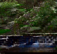 Millards Creek Walk and Cycleway - New South Wales Tourism 