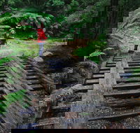 Montezuma Falls