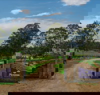 Moorebank Vineyard - New South Wales Tourism 