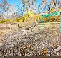 Mt Glenrowan Lookout Walk - New South Wales Tourism 