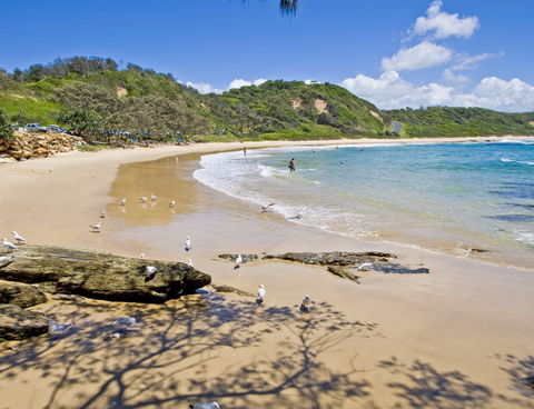 Nambucca Heads Beaches - New South Wales Tourism  0