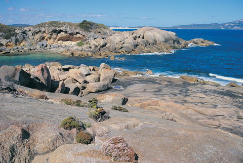Nanarup Beach - New South Wales Tourism  1