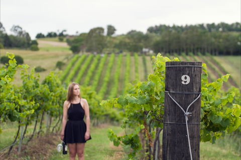 Naturally Luxurious - Great Beach Drive - New South Wales Tourism  0