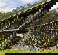 Noojee Trestle Bridge - New South Wales Tourism 