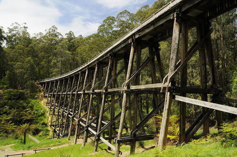 Noojee Trestle Bridge - New South Wales Tourism  0