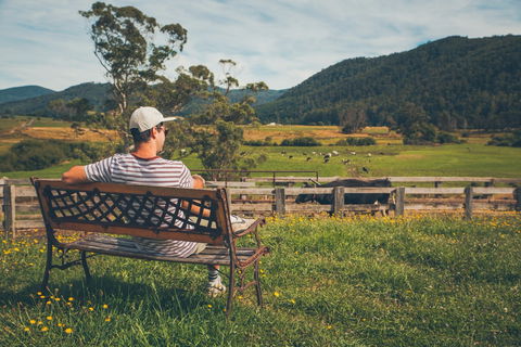 North - North East - New South Wales Tourism  0