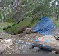 Northbrook Mountain Bush Camp - New South Wales Tourism 