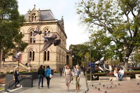 North Terrace - New South Wales Tourism  1