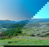 Numinbah Section Springbrook National Park - New South Wales Tourism 