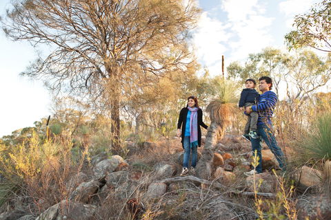 Para Wirra Conservation Park - New South Wales Tourism  0