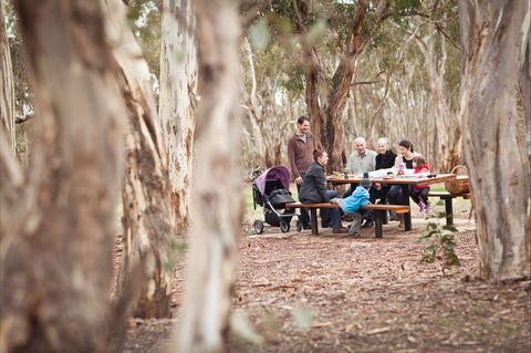 Para Wirra Conservation Park - New South Wales Tourism  1