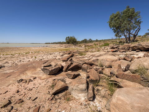 Peery Lake Picnic Area - New South Wales Tourism  0