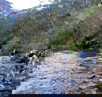 Pierces Pass - New South Wales Tourism 