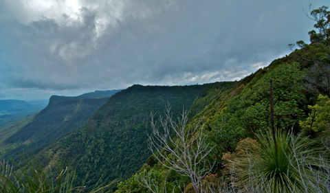 Pinnacle Walk And Lookout - New South Wales Tourism  0