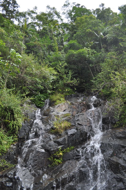 Pinnacle - New South Wales Tourism  2